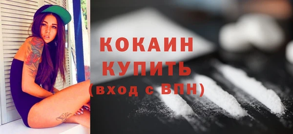 прущий лед Пересвет